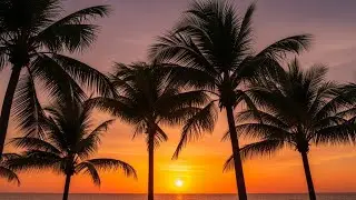 Island Chill Zen Reggae &ndash; Ocean Wind Relax Mood