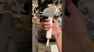 aumuca one button click self cleaning slicker brush#aumuca #cat #yourcat #catlover