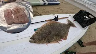 CATCH N' COOK - Epic Hunt for MONSTER California Halibut on Inflatable Paddle Boards!