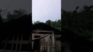 Rainy season in the mountains #shorts #farming #diy #satisfying #woodworking #cooking #wood #bamboo