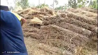 নতুন সিজেনের ধানের আটি খড় লাগলে যোগাযোগ করুন ০১৭৪১০২০৬৭৪। ২০২৫