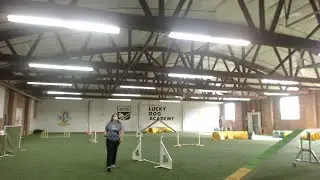 Lucky Dog CPE Trial 7/12/20