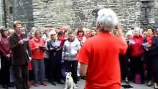 Strawberry Thieves Socialist Choir visits Maastricht for the Street Music Festival June 2010