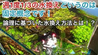 正しい水換えの量と頻度について【アクアリウム】