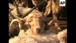 Preparations ahead of Orthodox Easter celebrations