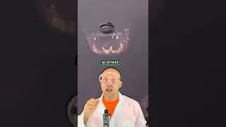 Scariest sounds in ocean