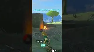 TOTK's Koroks are crazy