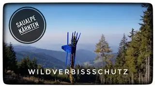 Wildverbiss Manchetten gegen Winterverbiss, Mechanischer Verbissschutz
