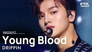 DRIPPIN(드리핀) - Young Blood @인기가요 inkigayo 20210321