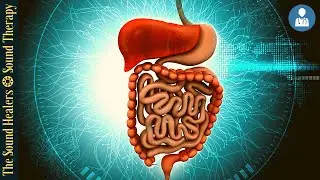 STOMACH COLON & DIGESTION I  Sound Therapy + RIFE Frequencies I Exploring Energy Frequencies