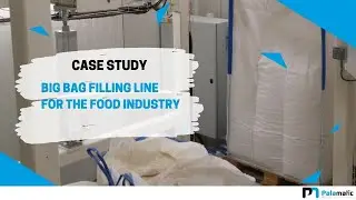 Big bag filling machine - FlowMatic&reg; 04 - Automatic unit | Palamatic Process Inc.