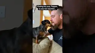 #cat #funny #happycats #catmemes #music #dog #pets #usa #us