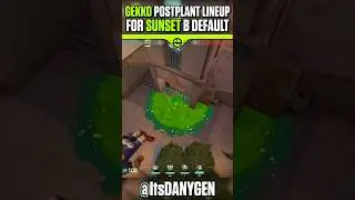 Gekko Post-Plant Molly Lineup for B Default on Sunset