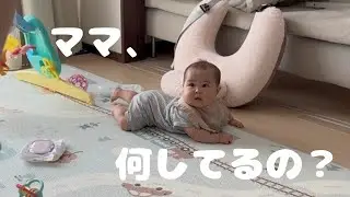 【生後7ヶ月】掃除機を観察する赤ちゃん
