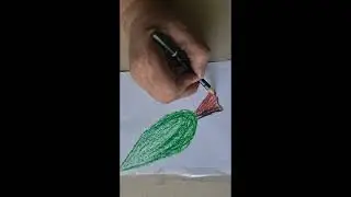 How To Draw 3D Tree on paper/Illusiondrawing
