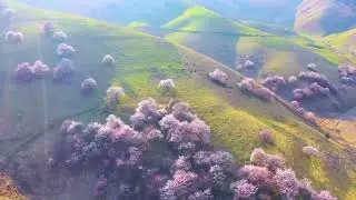 The most beautiful spring in the world is hidden in Ili Kazakh Autonomous Prefecture, Xinjiang