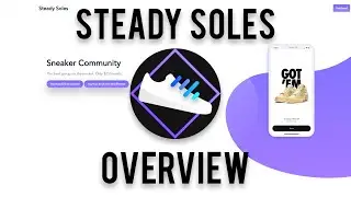 Steadysoles Sneaker Cook Group Overview