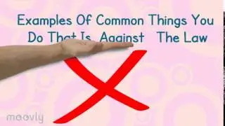 Digital Law