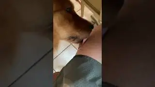 Licking the wounds he gave me😂🥹