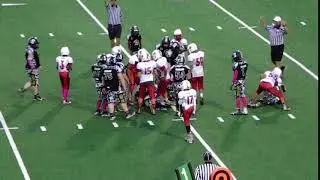LYFL PLAYOFFS DC CARDINALS VS SPARTANS 2017/2