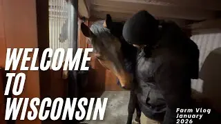 Tons of Barn Projects and Picking up a Horse from Import Quarantine!