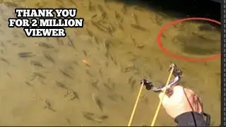 KETAPEL IKAN,,,!!! AKHIRNYA YANG BESAR MUNCUL JUGA || KETAPEL MANIA