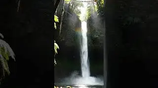 Water Falling Gracefully 🌊#Waterfall #NatureBeauty #FlowingWater #PeacefulView #NatureLovers #short