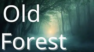 Whispers of the Old Forest &ndash; Sleep Story | Coconut Calm