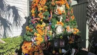Disney vlog Jan 2025 part 1!