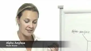 8 Alpha Amylase