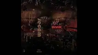 dfyan - wvs