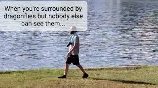 When You're Surrounded By Dragonflies But Nobody Else Can See Them
