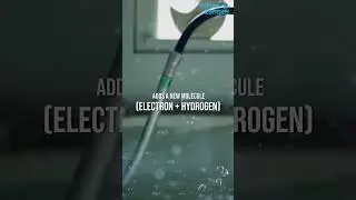 The Power of Kangen Water | Divine Kangen