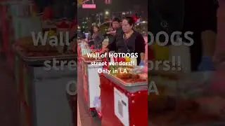 &ldquo;ONLY in LA 🌭 Crazy Wall of Hotdog Street Vendors!&rdquo;