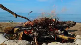1HR Full HD Beach Fire Pit | Crackling Fire & Distance Ocean Waves to Meditate, Relax, Study & Sleep