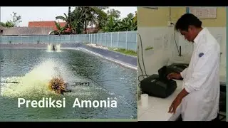 Prediksi Amonia di Kolam