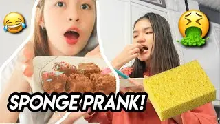 SPONGE CAKE PRANK!! (SORRY NICOLE)