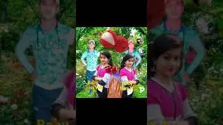Bhola ka bhav tohar lichi ke ho
