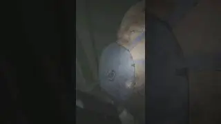 Is Jacob ok?