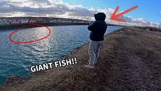 He caught his BIGGEST FISH in the CITY!! (Catch, Clean, and Cook)