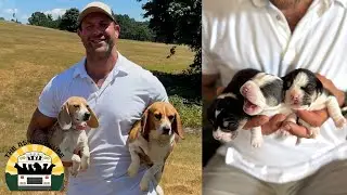 Amazing updates on the beagles saved from lab testing and a very special surprise at the end