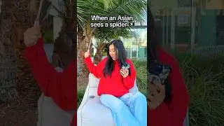 How different cultures react to spiders 😏😆