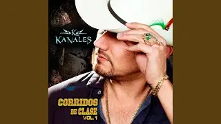 Licenciada