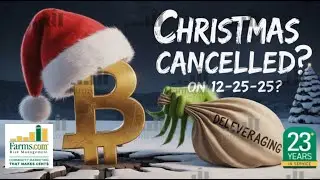 Deleveraging in Bitcoin(Crypto) Will NOT Save Christmas!