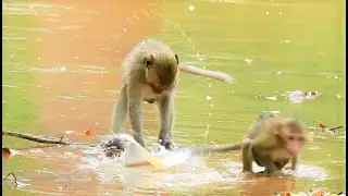 Situation of family mom Jane after rain | adorable Janna very happy play water with Janet