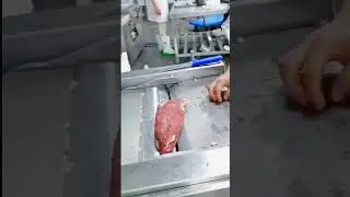 Meat Cleaning Machine #shorts