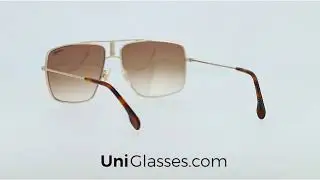 CARRERA CARRERA1006S 9HTHA 60 15 150 BLACK IVORY BROWN 1