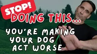 7 Dog Training Mistakes That RUIN Behavior (Avoid These!)