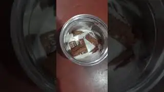 how to make Bourbon biscuit milkshake 😋 || marvelous food || #shorts #cooking