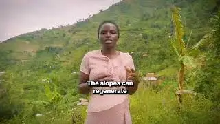 Plant trees protect futures